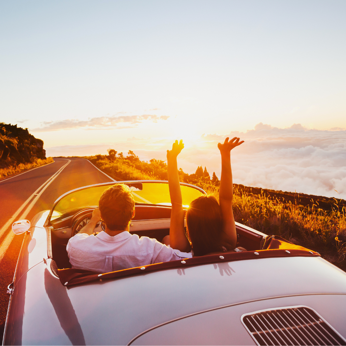 Trusted Car Buying Guide